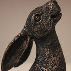 Moongazing Hare Sculpture close up on face